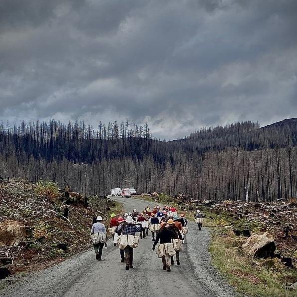 Memorial Tree Planting - A Living, Loving Legacy - The Comfort Company