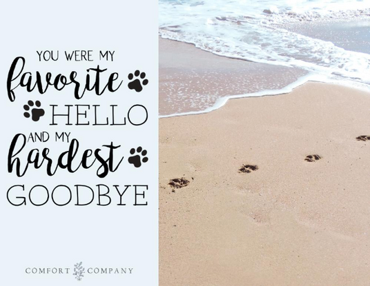 Pet Loss ecards
