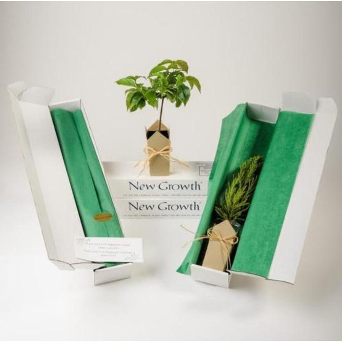 6 Memorial Gifts to Remember Someone You Lost in a Beautiful Way - The Comfort Company