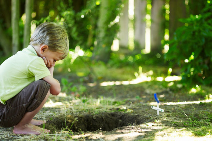 How to Grieve the Loss of a Family Pet - The Comfort Company