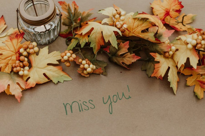 Thanksgiving Grief:  8 Missing You on Thanksgiving Ideas - The Comfort Company
