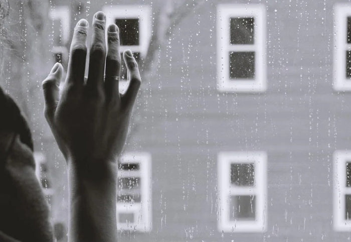 What are the 7 Stages of Grief: Keys to Understanding Loss - The Comfort Company