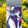 woman with dog
