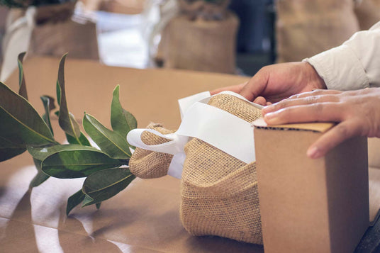 plants packaging process