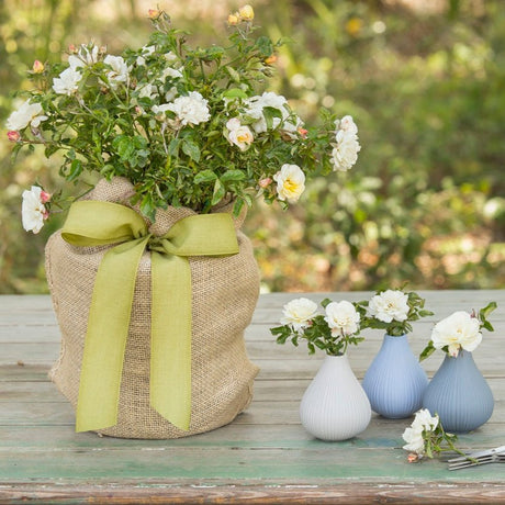 Remembrance Rose – A Beautiful and Lasting Sympathy Plant that Lasts - The Comfort Company